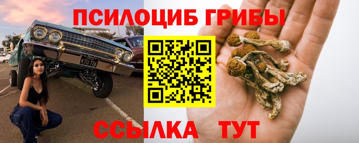 Псилоцибиновые грибы MAGIC MUSHROOMS  Вход с VPN  Бор 